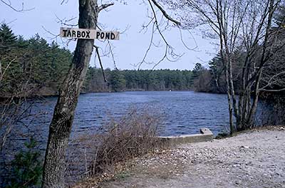 View down Tarbox Pond