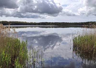 Chapman Pond from the Boat Ramp