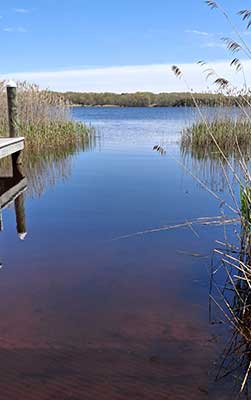 Chapman Pond from the Boat Ramp