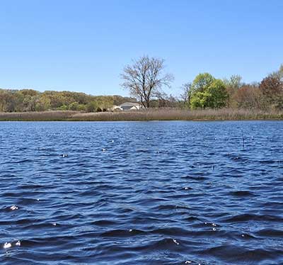 Chapman Pond