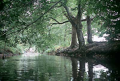 Merino Park Canoe Launch