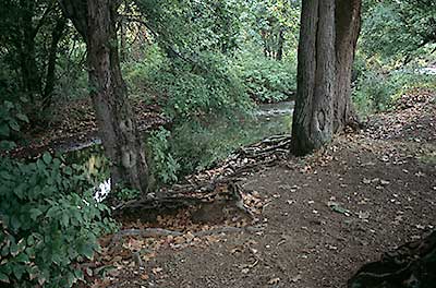 Merino Park Canoe Launch from Land