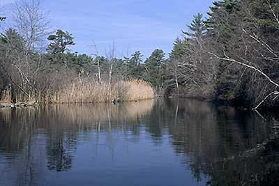 View Down Big River Towards Reynolds Pond