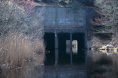 Tunnels Under I-95