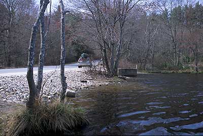 View of the shoreline at Tarbox Pond