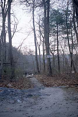 The Path from Route 3 to the Big River