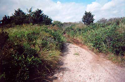 Path to Winnepaug Pond
