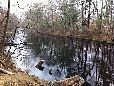 View Downstream from near the Canoe/Kayak Launch