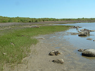 The Shoreline of Winnapaug Pond in the Lathrop Wildlife Refuge