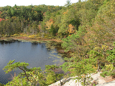 Early Fall at Long Pond Woods