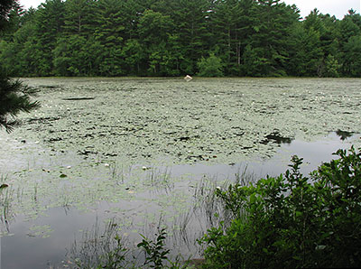 Waterman Pond