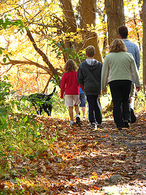 A Family Walking in Weetamoo Woods
