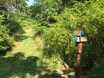Signs for the Blue Trail at Spruce Acres Farm