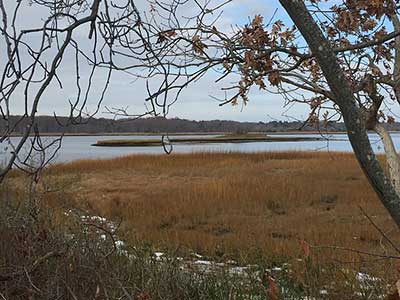 View of Tom's Island, another Warren Land Conservation Trust property