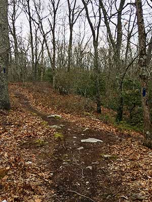 One of the Trails