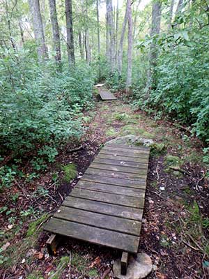 A footbridge over a wet area