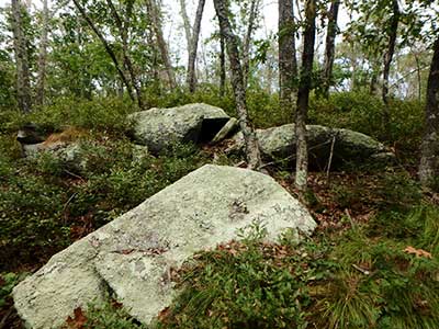 Boulders in the woods