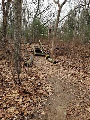 A View down one of the Trails